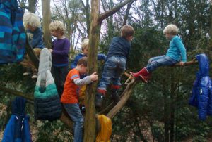 We maken van de boom een kapstok We maken van de boom een kapstok