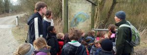 Excursie naar de Millingerwaard Excursie naar de Millingerwaard